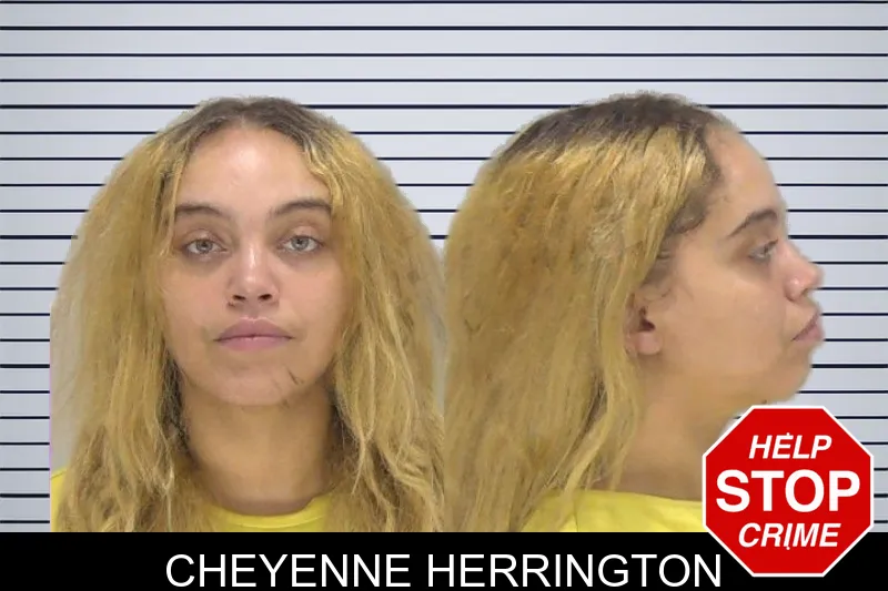 Cheyenne Herrington mugshot