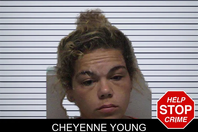 Cheyenne Young mugshot – Laurens County , Georgia Cheyenne Young mugshot
