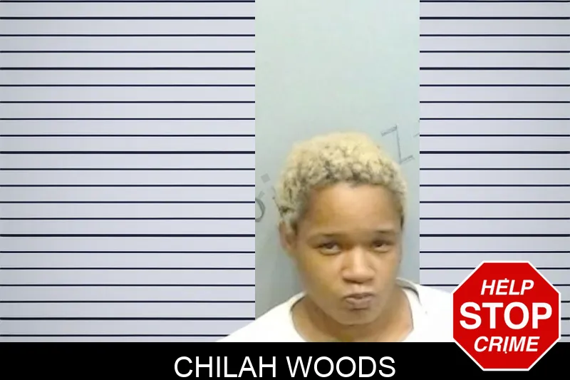 Chilah Woods mugshot – Fulton County , Georgia Chilah Woods mugshot