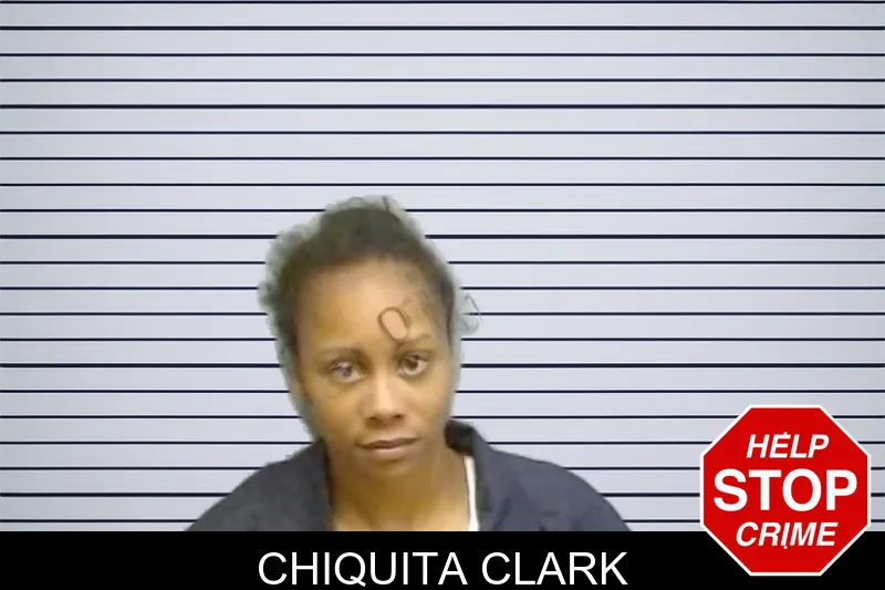 Chiquita Clark mugshot – Fulton County , Georgia Chiquita Clark mugshot