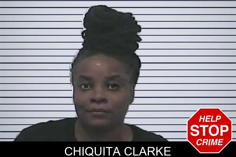 Chiquita Clarke mugshot – Dawson County , Georgia Chiquita Clarke mugshot