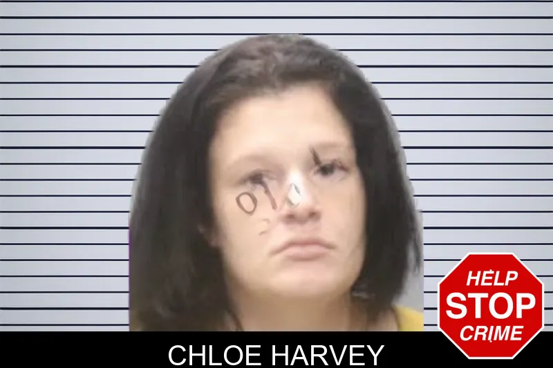 Chloe Harvey mugshot