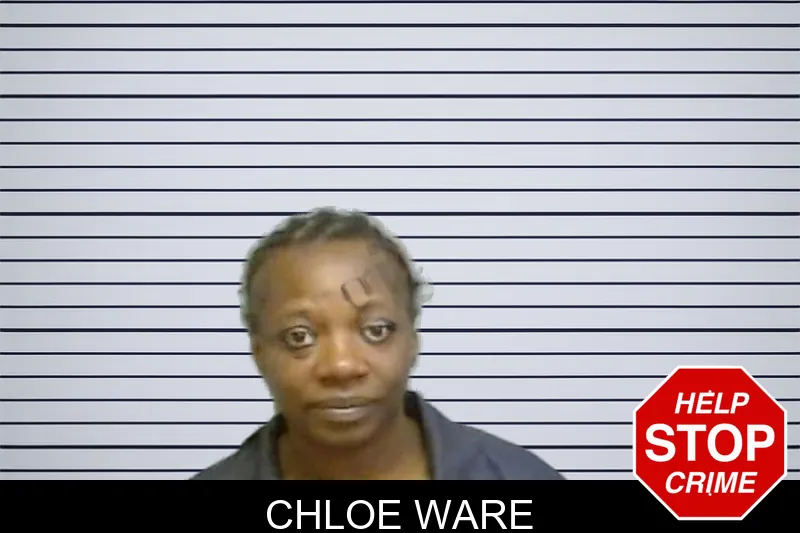 Chloe Ware mugshot