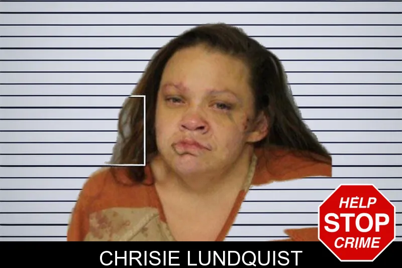 Chrisie Lundquist mugshot – Hall County , Georgia Chrisie Lundquist mugshot