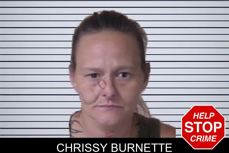 Chrissy Burnette mugshot – Walker County , Georgia Chrissy Burnette mugshot