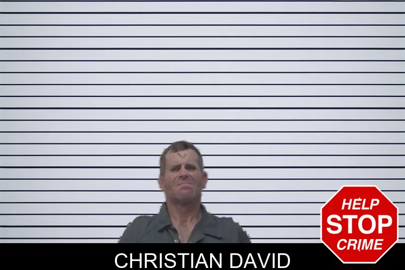 Christian David mugshot – Irwin County , Georgia Christian David mugshot