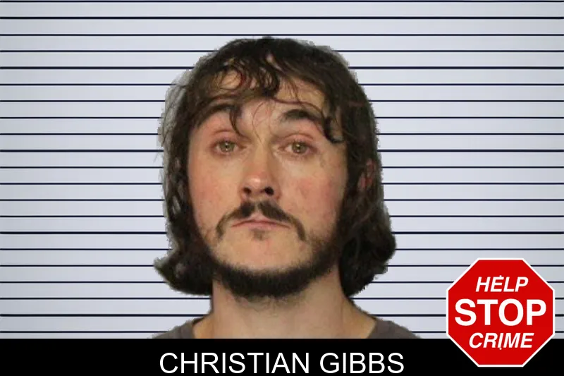 Christian Gibbs mugshot – Hall County , Georgia Christian Gibbs mugshot