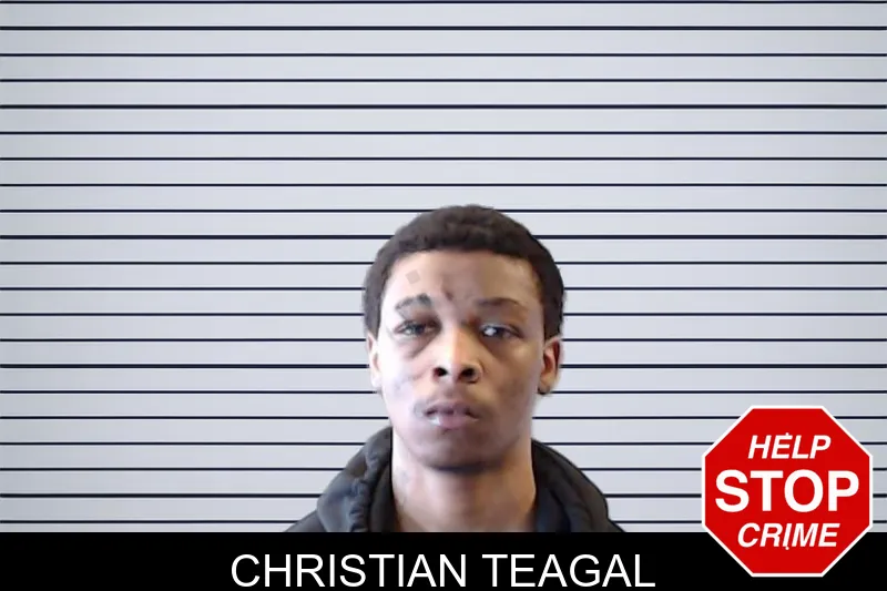 Christian Teagal mugshot – DeKalb County , Georgia Christian Teagal mugshot