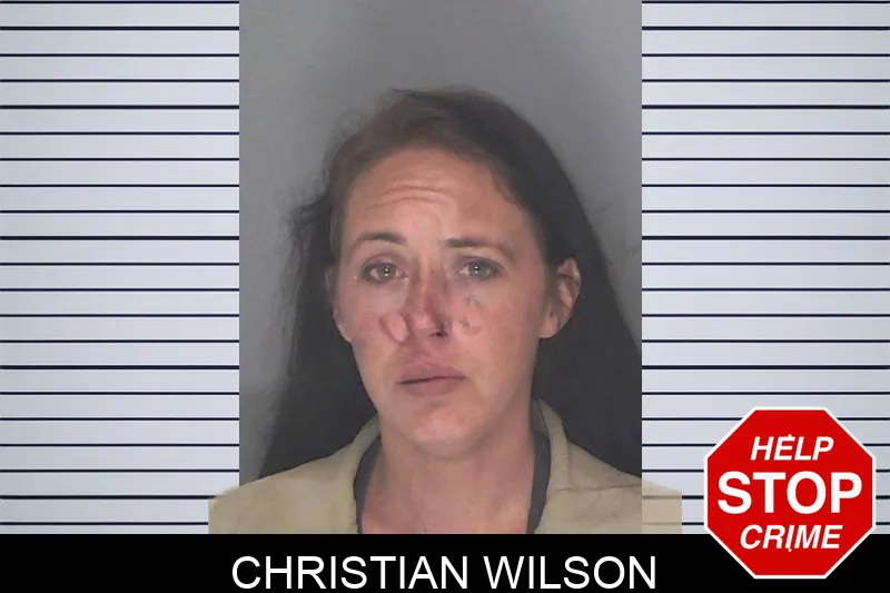 Christian Wilson mugshot