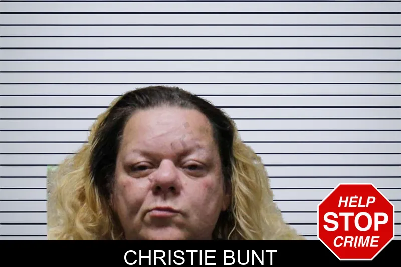 Christie Bunt mugshot – Haralson County , Georgia Christie Bunt mugshot