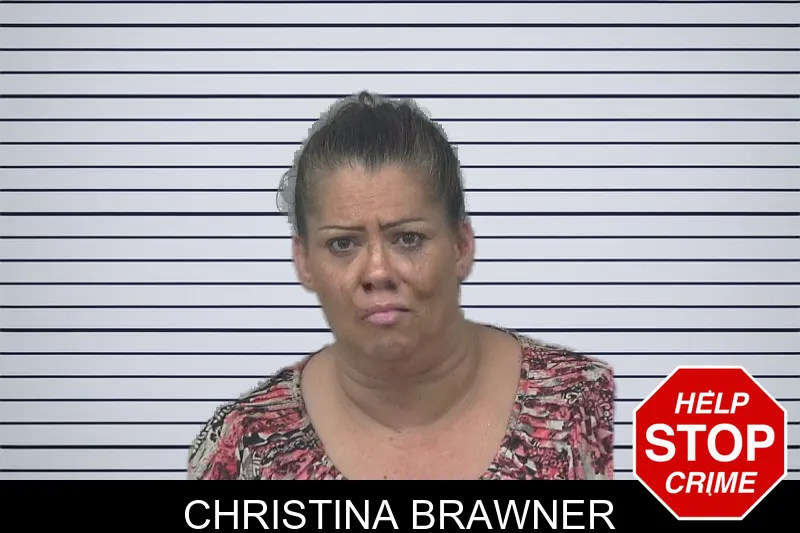 Christina Brawner mugshot – Gwinnett County , Georgia Christina Brawner mugshot