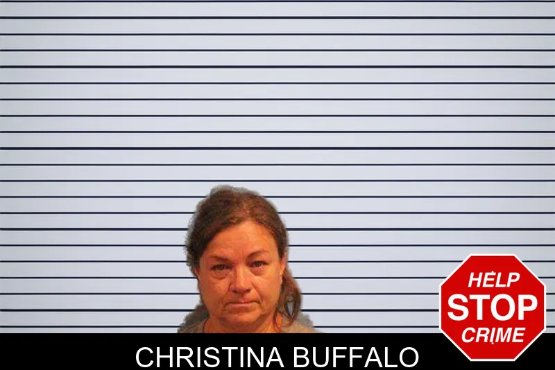 Christina Buffalo mugshot – Monroe County , Georgia Christina Buffalo mugshot