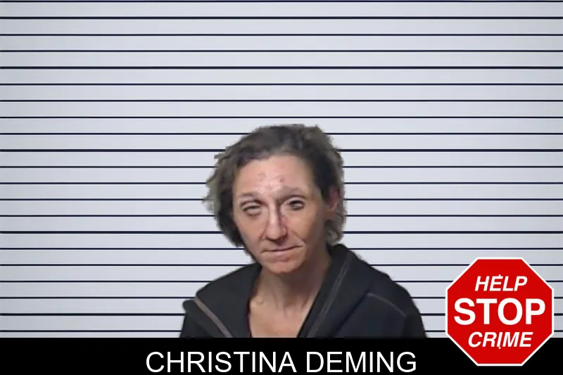 Christina Deming mugshot