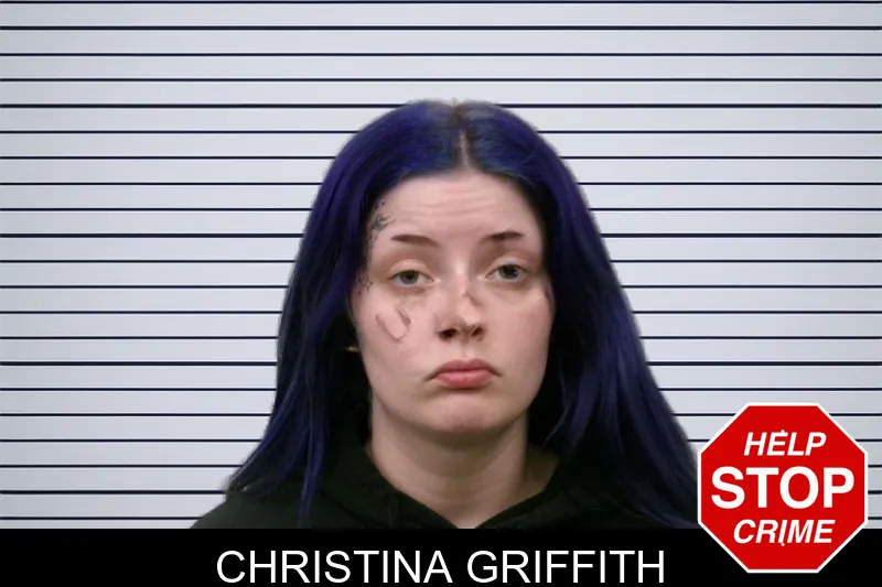 Christina Griffith mugshot – Bulloch County , Georgia Christina Griffith mugshot