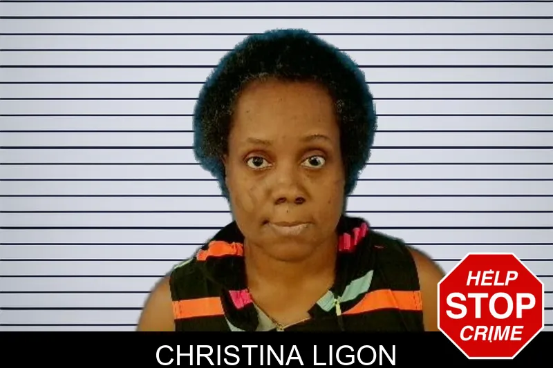 Christina Ligon mugshot – Troup County , Georgia Christina Ligon mugshot
