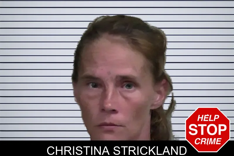Christina Strickland mugshot – Wayne County , Georgia Christina Strickland mugshot
