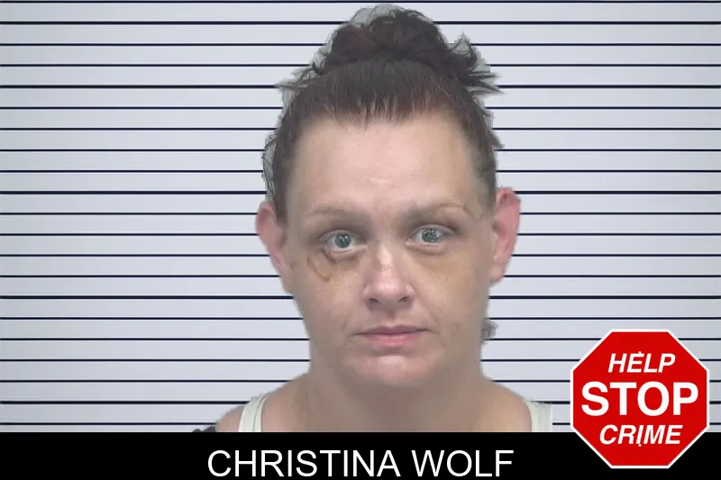 Christina Wolf mugshot – Gwinnett County , Georgia Christina Wolf mugshot