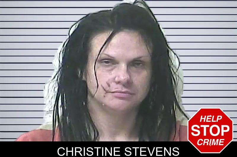 Christine Stevens mugshot – Oconee County , Georgia Christine Stevens mugshot