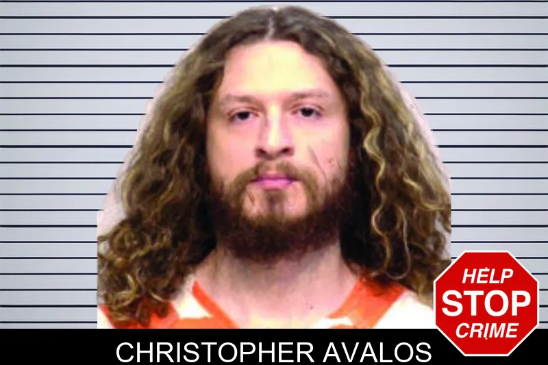 Christopher Avalos mugshot – Bartow County , Georgia Christopher Avalos mugshot