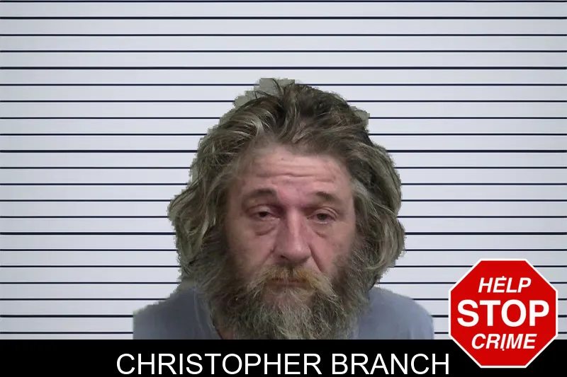 Christopher Branch mugshot – Wayne County , Georgia Christopher Branch mugshot