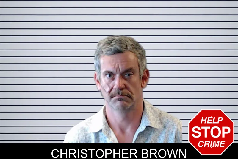 Christopher Brown mugshot