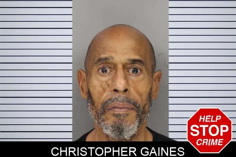 Christopher Gaines mugshot – Cobb County , Georgia Christopher Gaines mugshot
