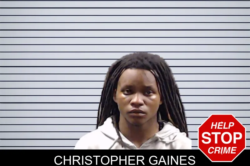 Christopher Gaines mugshot – DeKalb County , Georgia Christopher Gaines mugshot