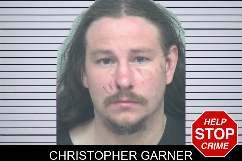 Christopher Garner mugshot – Gwinnett County , Georgia Christopher Garner mugshot