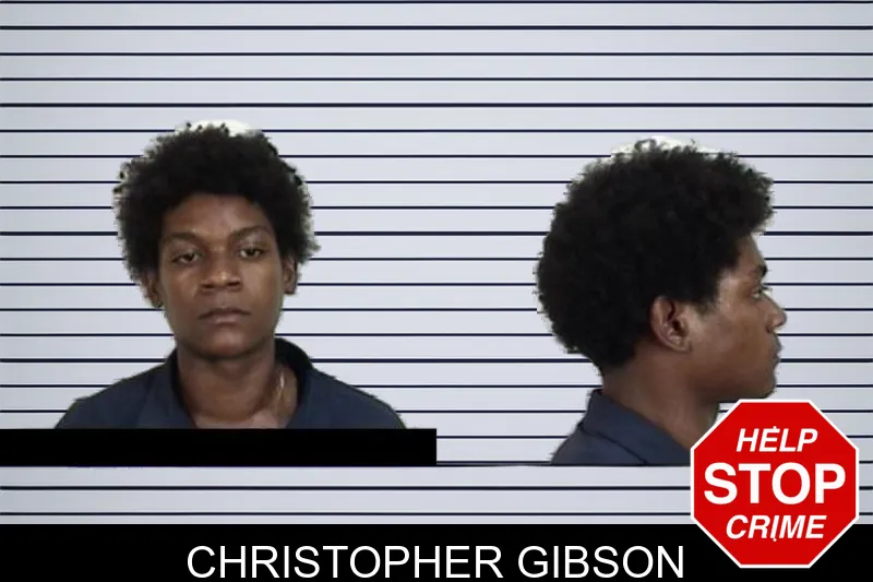 Christopher Gibson mugshot – Camden County , Georgia Christopher Gibson mugshot