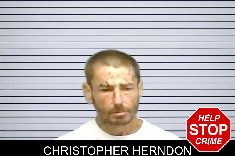 Christopher Herndon mugshot – Fulton County , Georgia Christopher Herndon mugshot