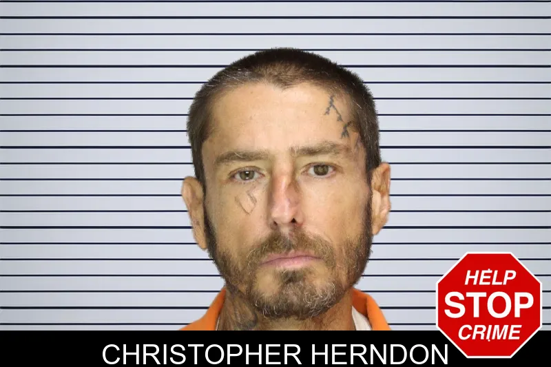 Christopher Herndon mugshot – Cobb County , Georgia Christopher Herndon mugshot