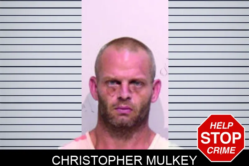 Christopher Mulkey mugshot – Bartow County , Georgia Christopher Mulkey mugshot