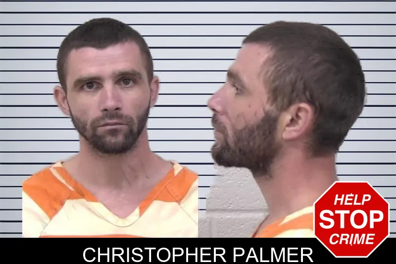 Christopher Palmer mugshot – Paulding County , Georgia Christopher Palmer mugshot