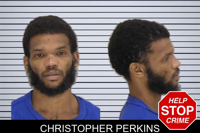 Christopher Perkins mugshot