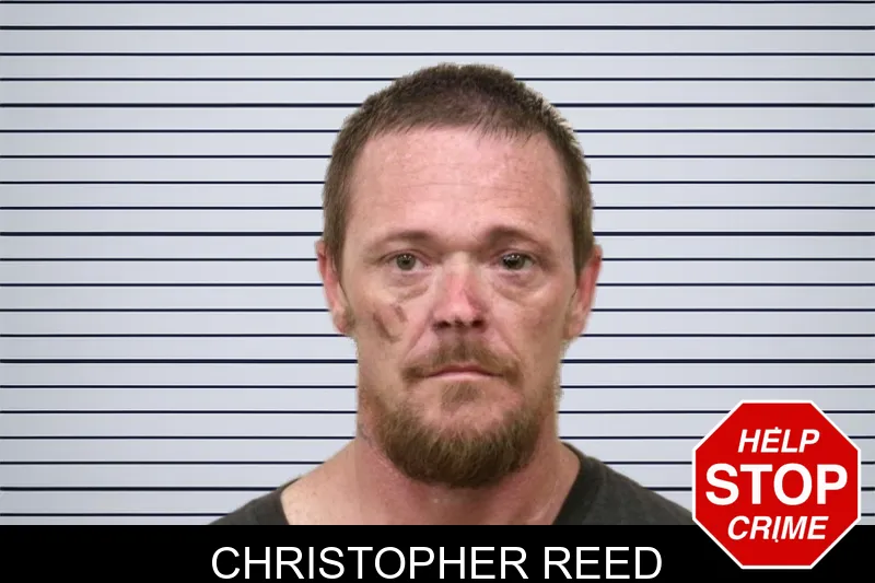 Christopher Reed mugshot – Bulloch County , Georgia Christopher Reed mugshot