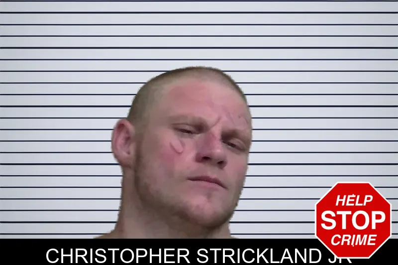 Christopher Strickland Jr mugshot – Wayne County , Georgia Christopher Strickland Jr mugshot