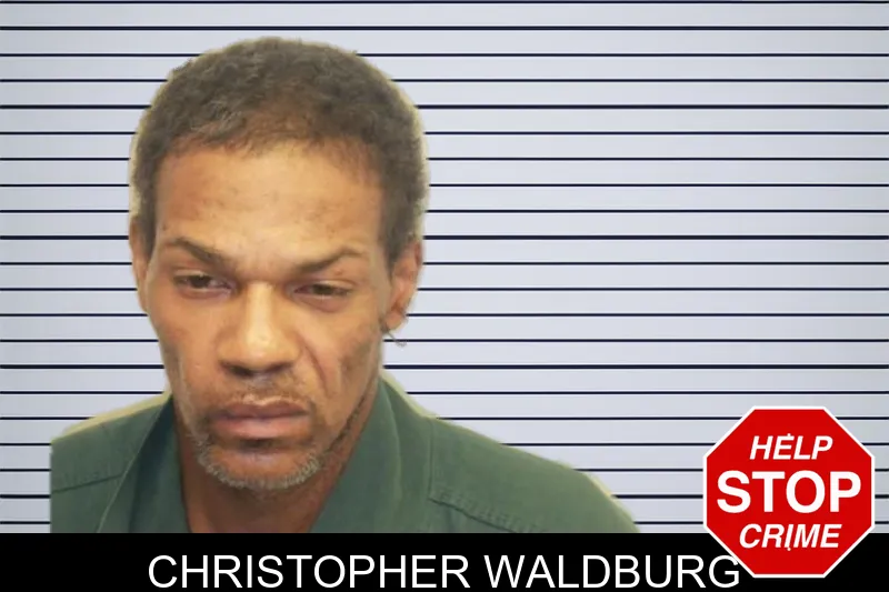 Christopher Waldburg mugshot – Chatham County , Georgia Christopher Waldburg mugshot