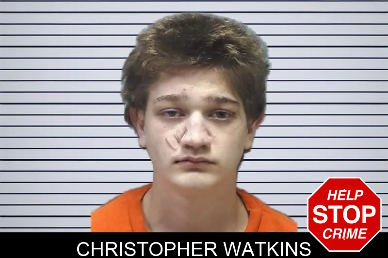 Christopher Watkins mugshot – Cherokee County , Georgia Christopher Watkins mugshot