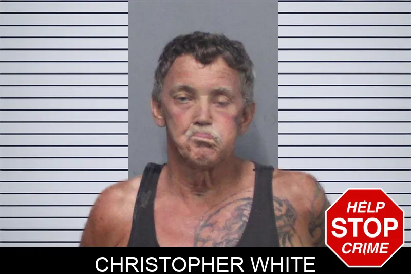 Christopher White mugshot – White County , Georgia Christopher White mugshot