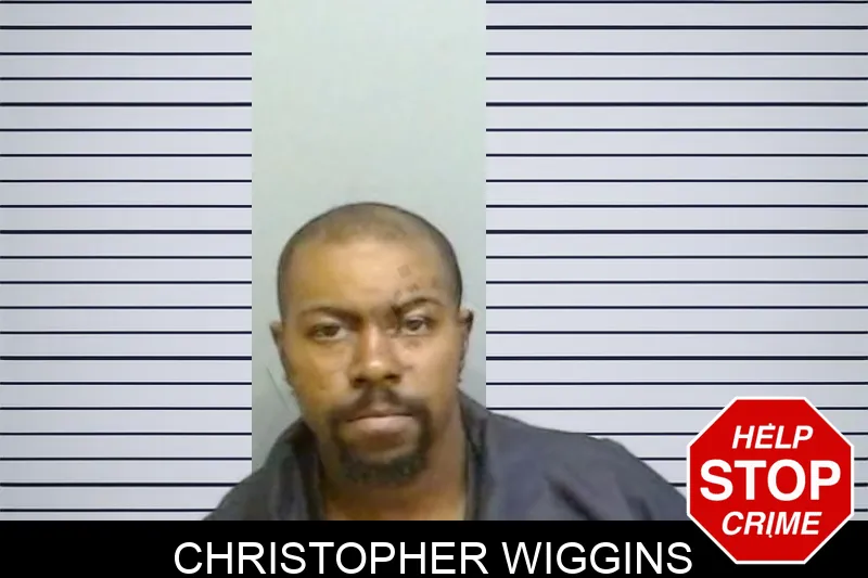 Christopher Wiggins mugshot