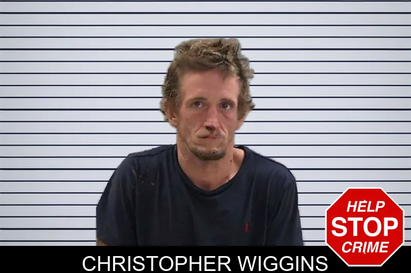 Christopher Wiggins mugshot – Baldwin County , Georgia Christopher Wiggins mugshot
