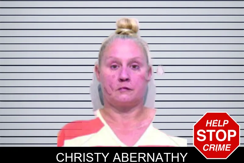 Christy Abernathy mugshot – Bartow County , Georgia Christy Abernathy mugshot