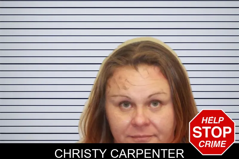 Christy Carpenter mugshot – Chatham County , Georgia Christy Carpenter mugshot