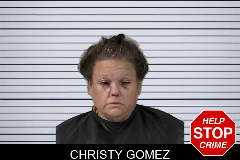 Christy Gomez mugshot – Elbert County , Georgia Christy Gomez mugshot