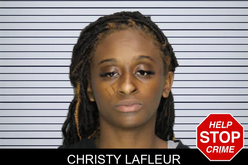 Christy Lafleur mugshot – Cobb County , Georgia Christy Lafleur mugshot
