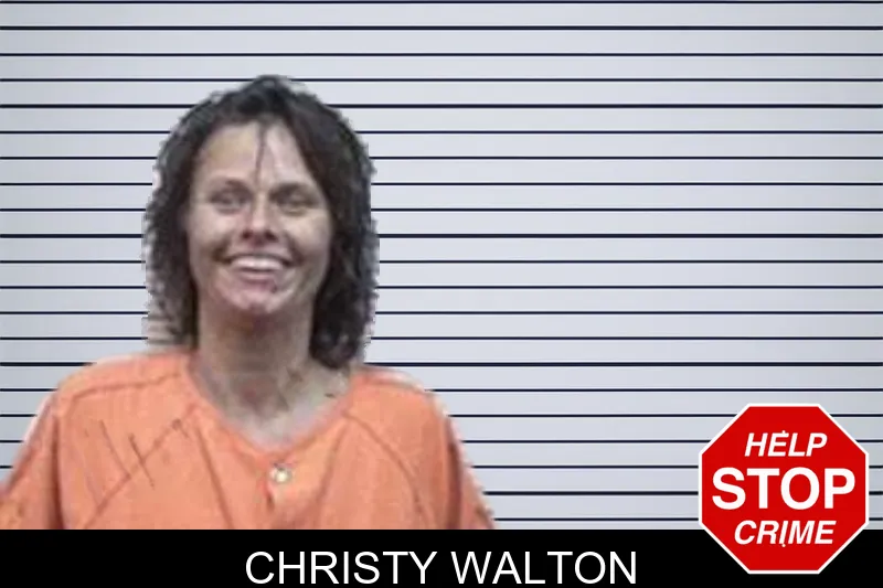 Christy Walton mugshot – Tattnall County , Georgia Christy Walton mugshot