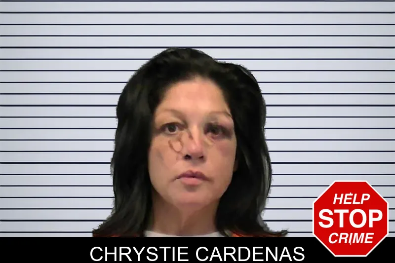 Chrystie Cardenas mugshot