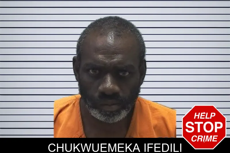 Chukwuemeka Ifedili mugshot – Cherokee County , Georgia Chukwuemeka Ifedili mugshot