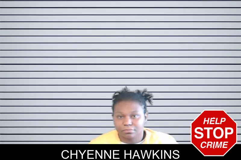 Chyenne Hawkins mugshot