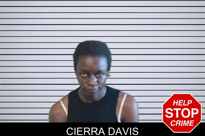 Cierra Davis mugshot – DeKalb County , Georgia Cierra Davis mugshot